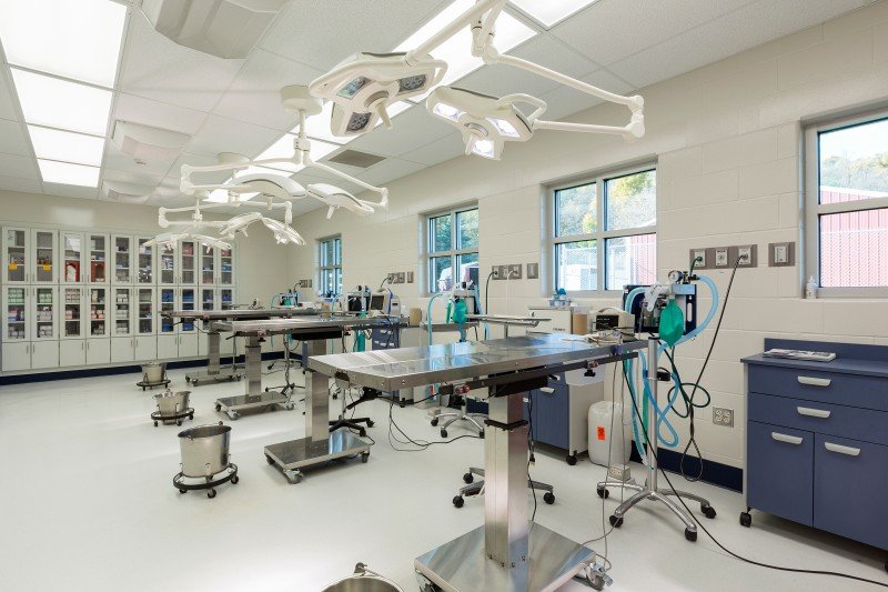 Surgical Beds